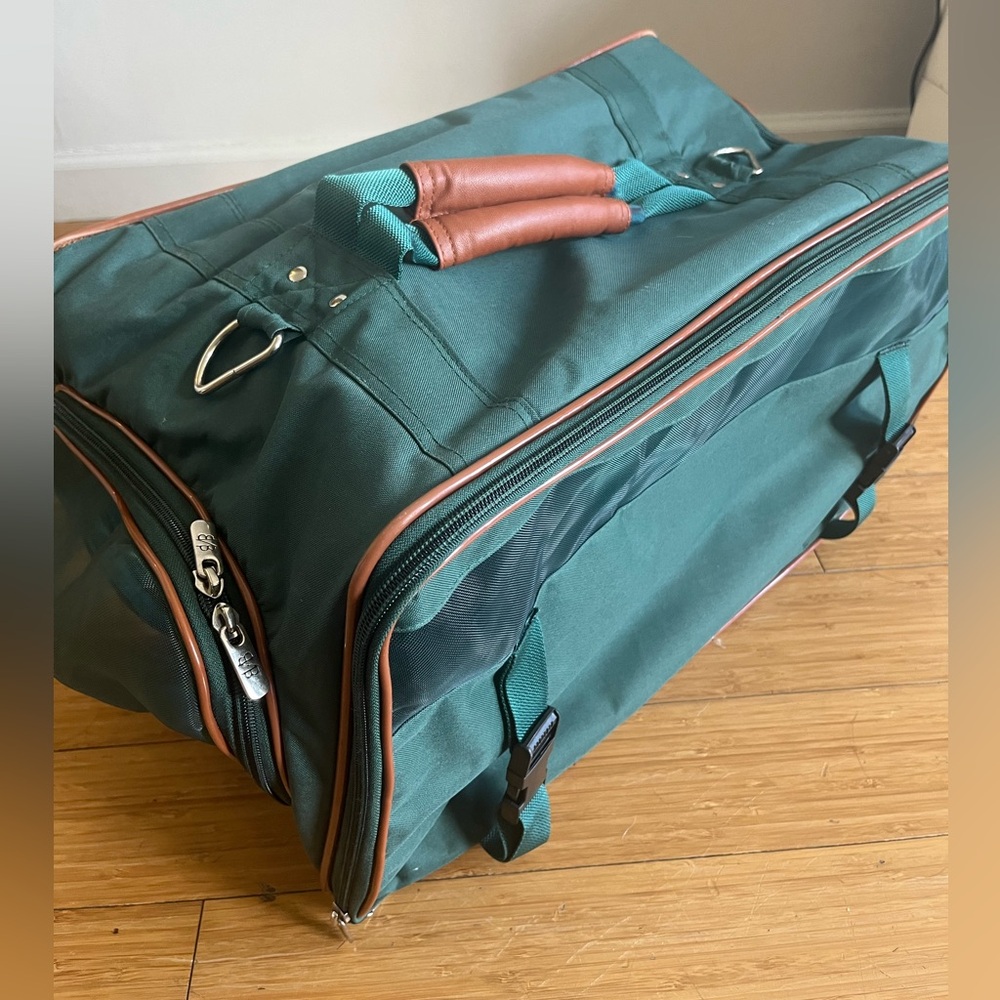 Pet travel carrier